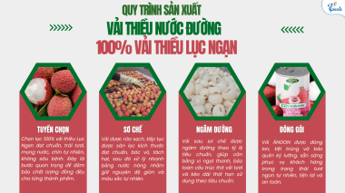VẢI THIỀU NƯỚC ĐƯỜNG ÀNGON