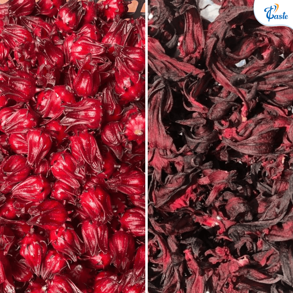 Trà Hoa Atiso Đỏ AMAZINGON - Lựa Chọn Số 1 Cho Đồ Uống Sức Khỏe