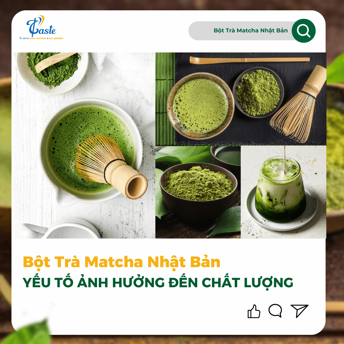 Yếu Tố Quyết Định Chất Lượng Bột Trà Matcha Nhật Bản