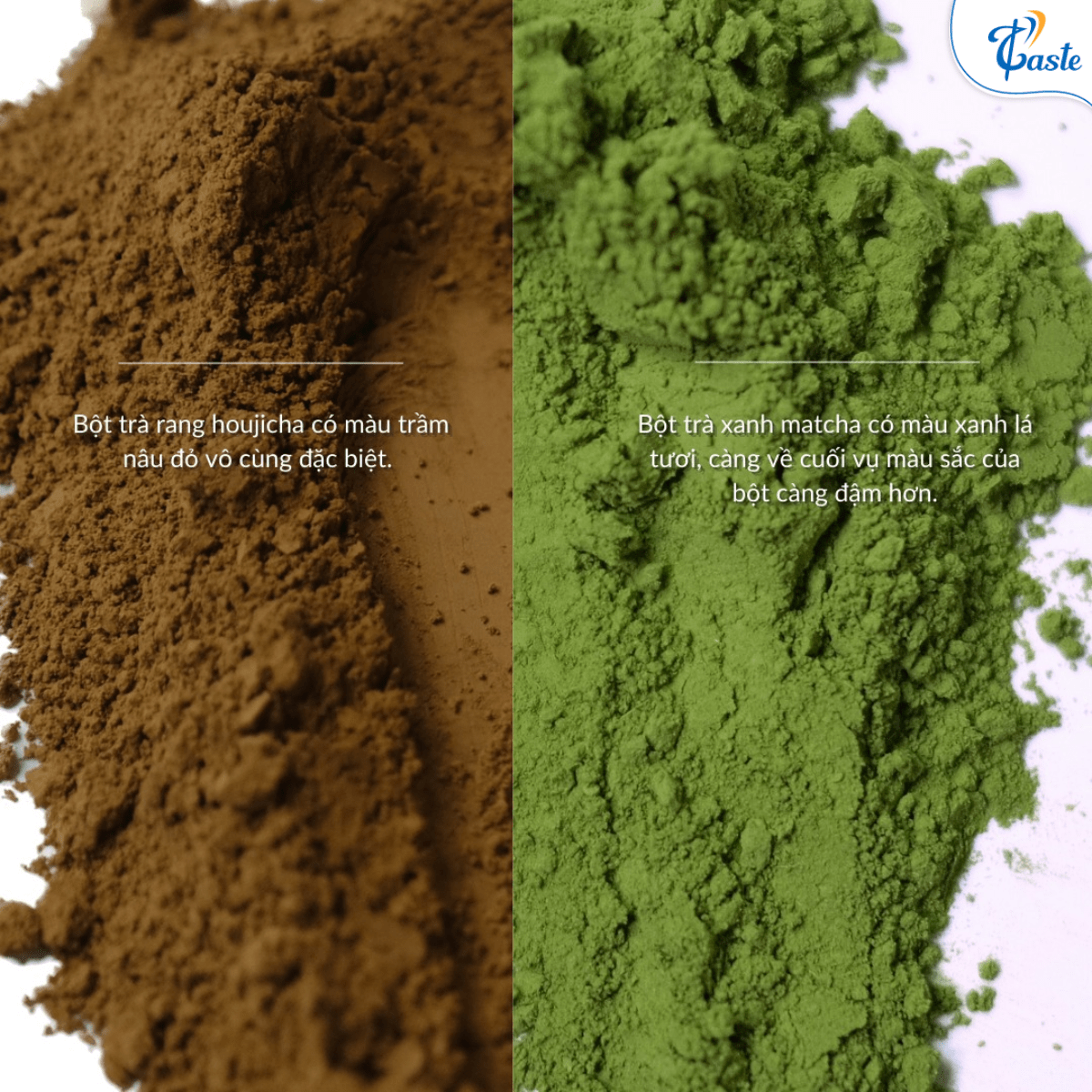 Houjicha Khác Gì Matcha? Hiểu Rõ Để Pha Chế Đúng Xu Hướng