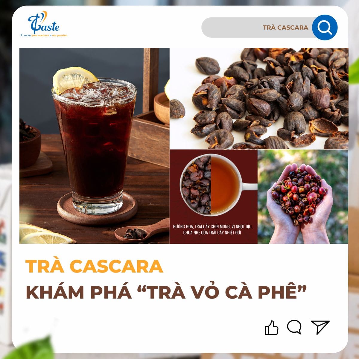Hướng Dẫn Pha Trà Cascara – Tối Ưu Hương Vị Từ Trà Vỏ Cà Phê