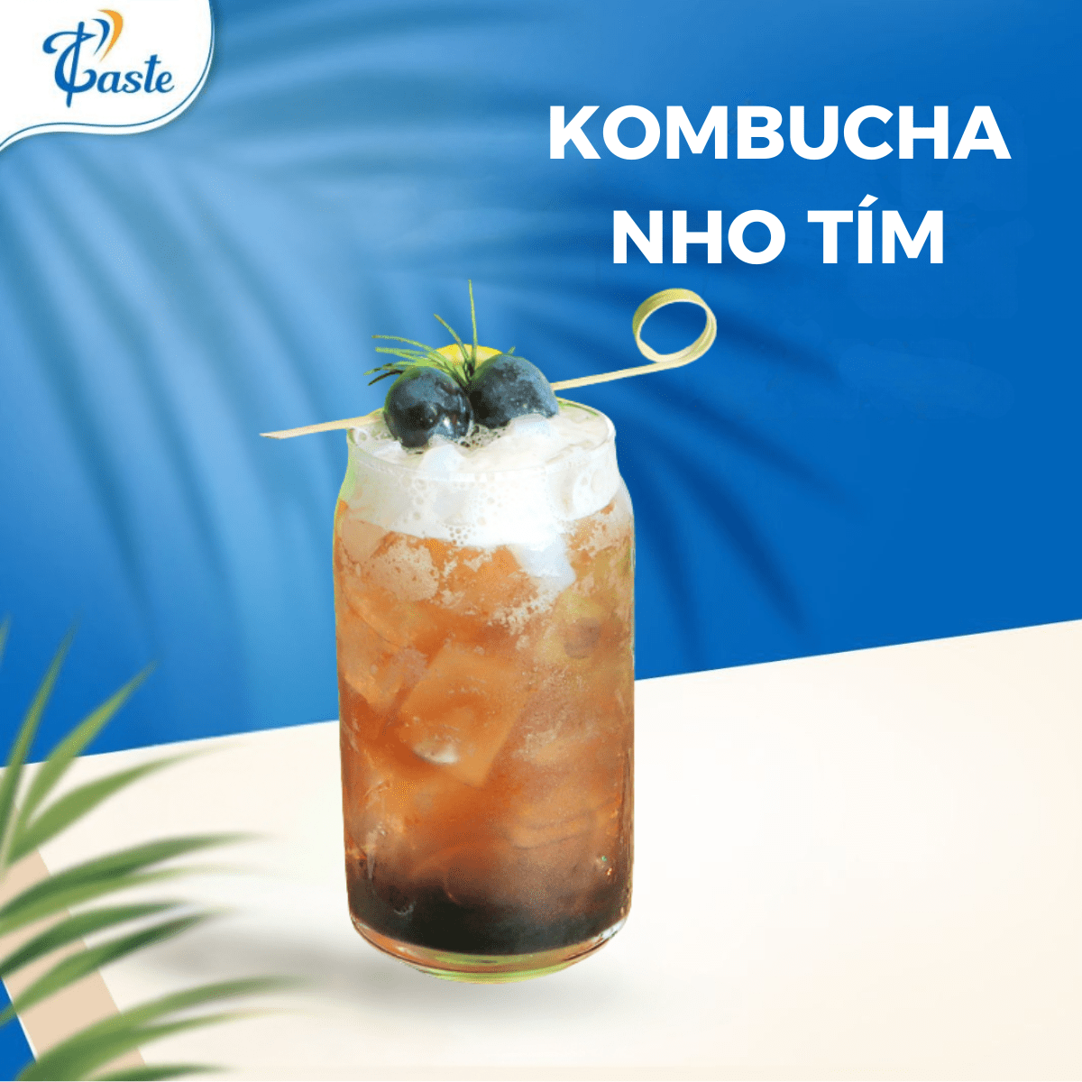 KOMBUCHA NHO TÍM