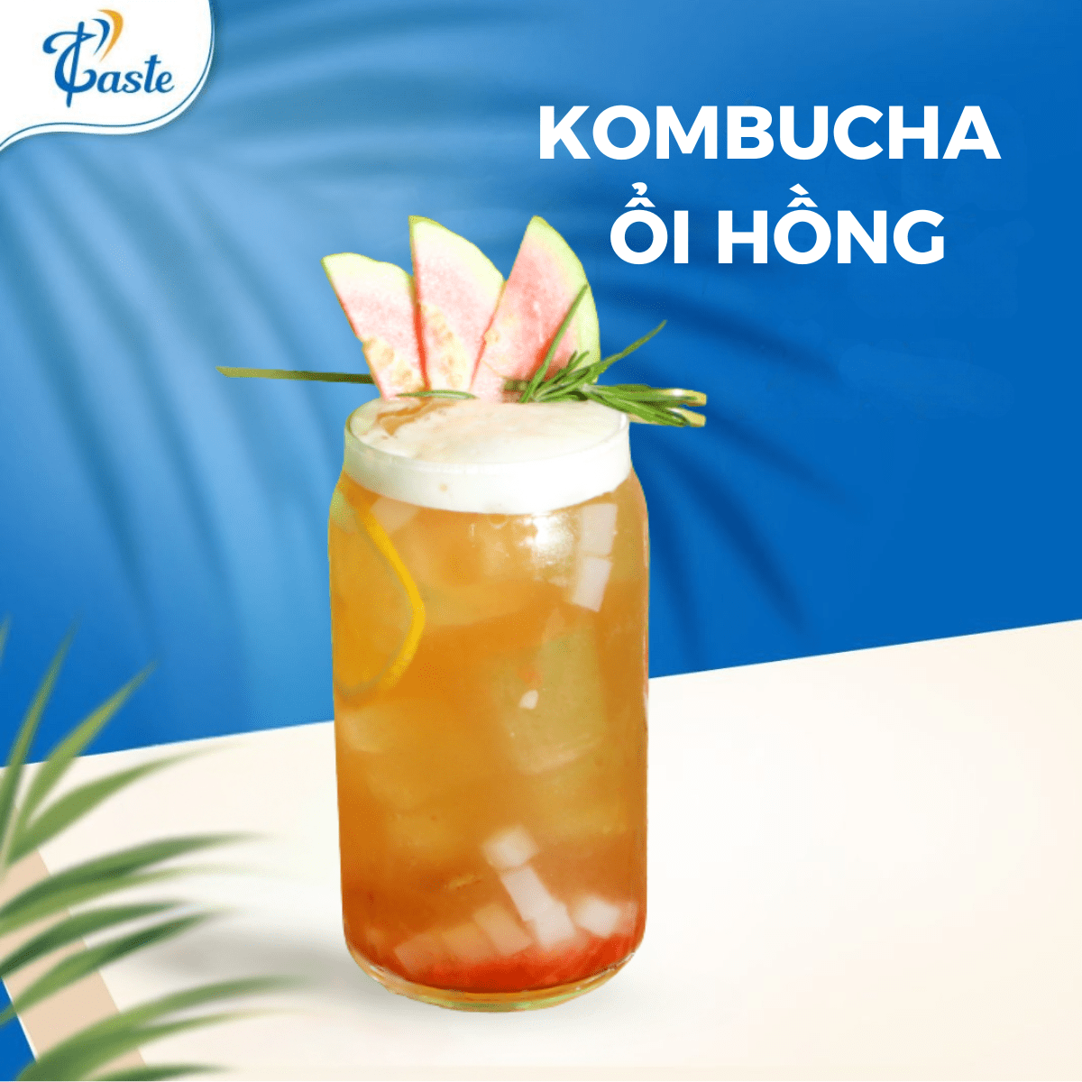 KOMBUCHA ỔI HỒNG
