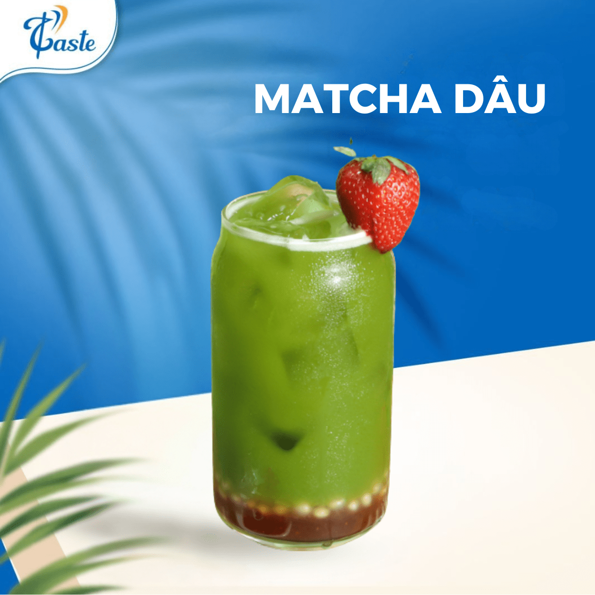 MATCHA DÂU