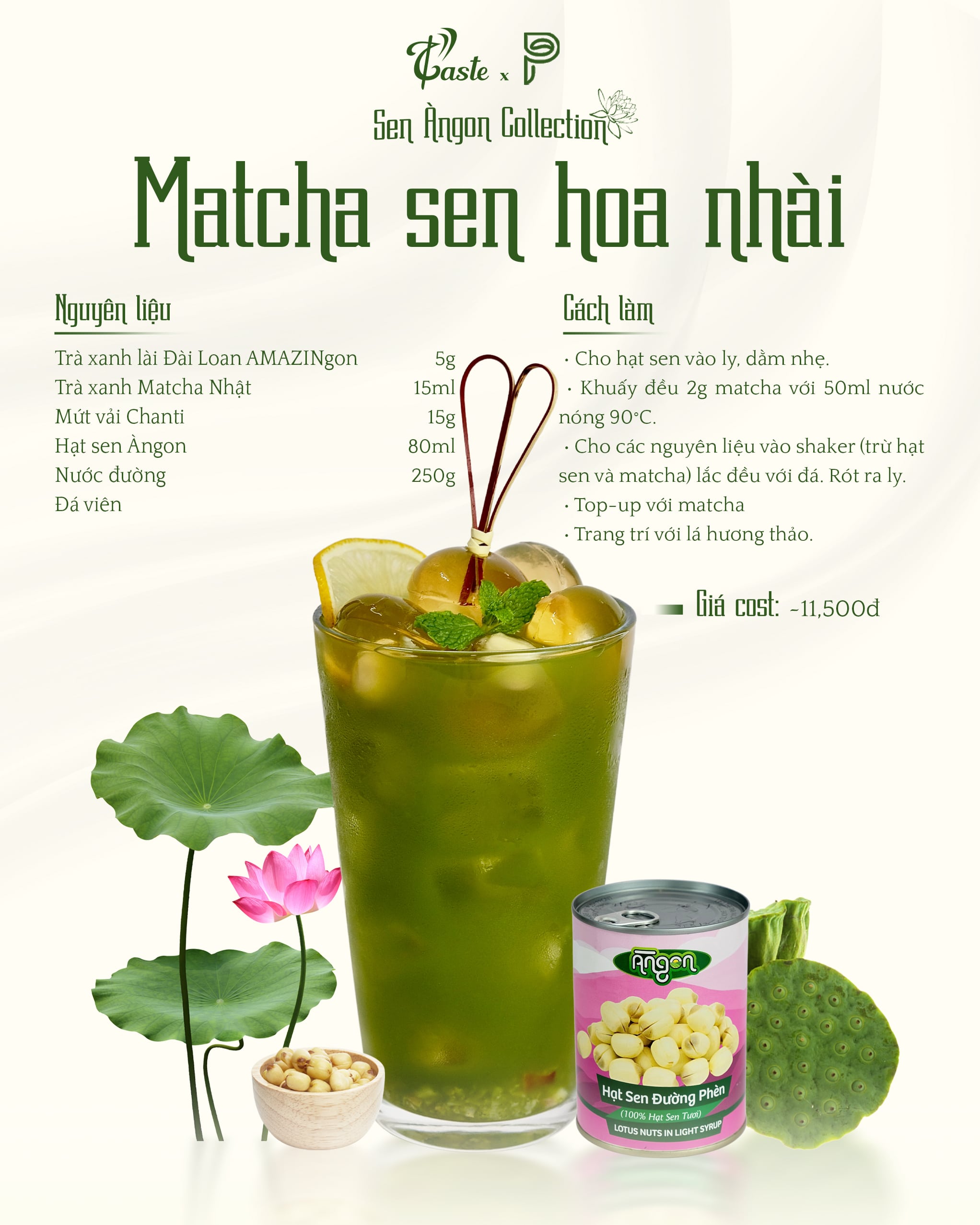 Bộ Sưu Tập Hạt Sen - Nông Sản Việt