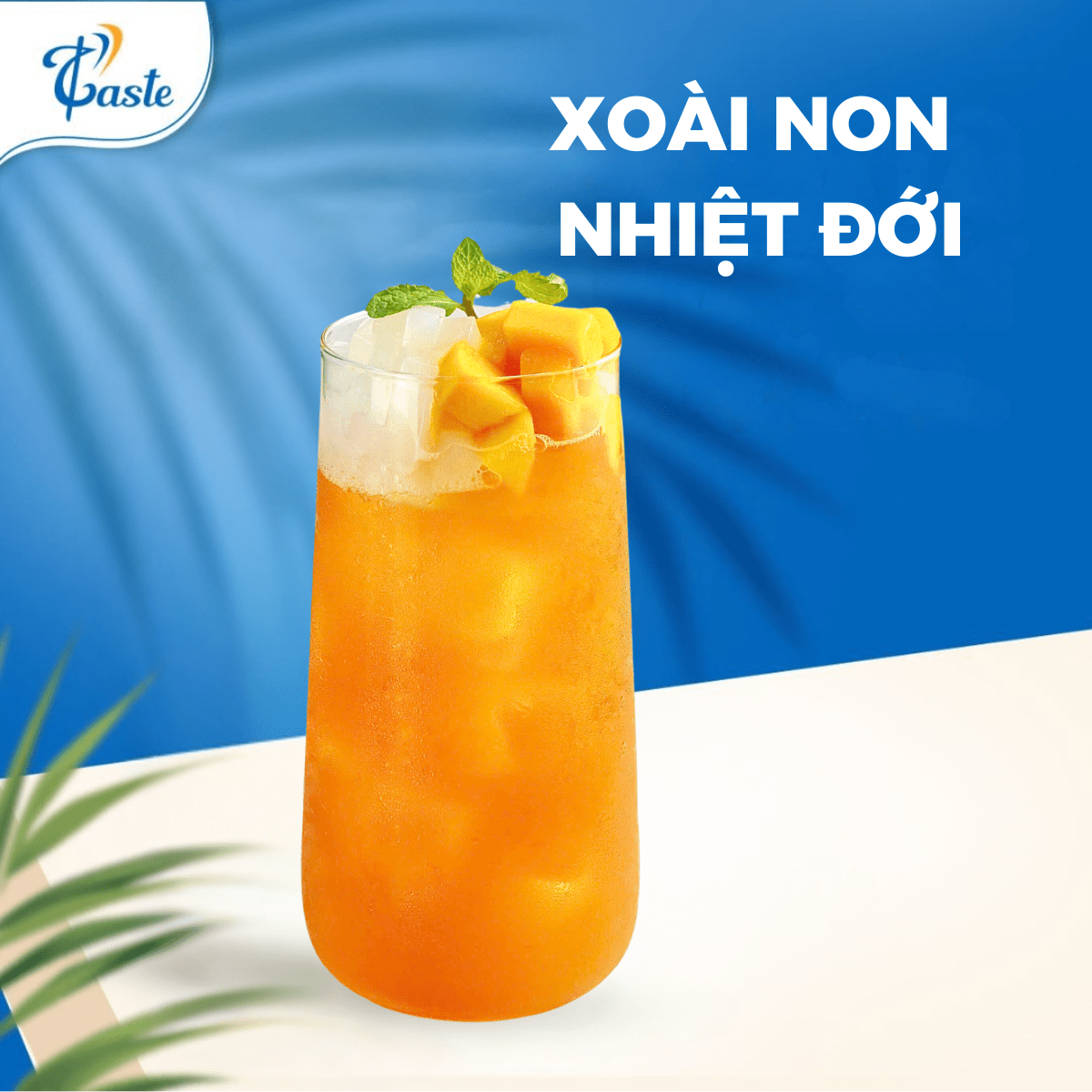XOÀI NON NHIỆT ĐỚI