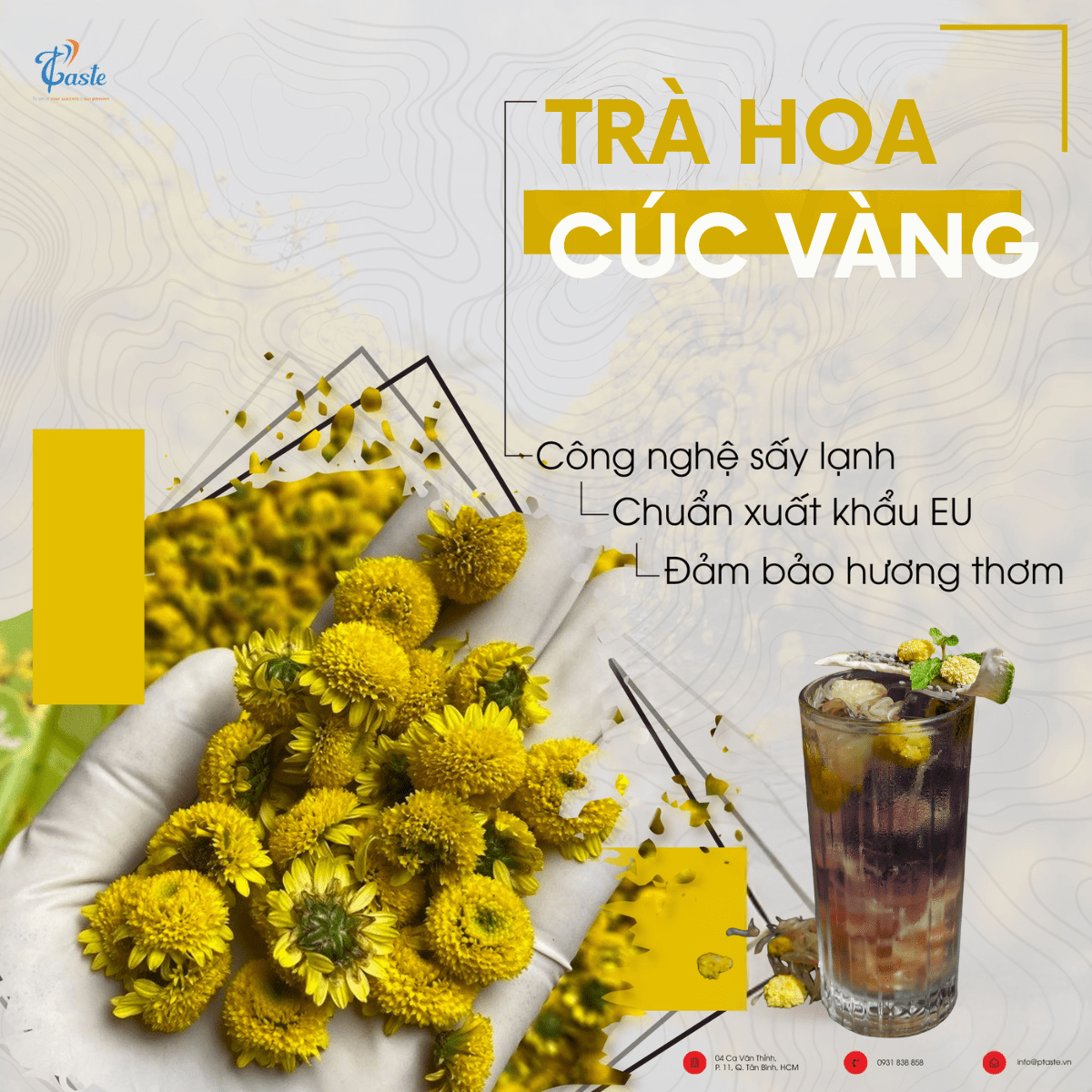 Kinh Nghiệm Chọn Mua Trà Hoa Cúc Ở Đâu Uy Tín?