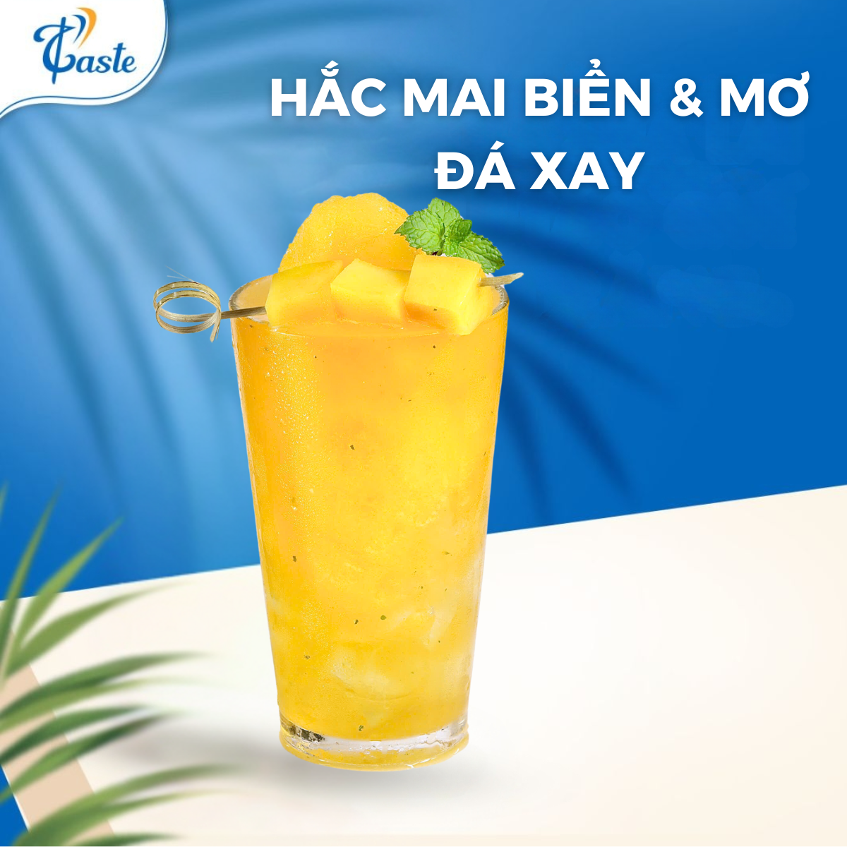 HẮC MAI BIỂN & MƠ ĐÁ XAY