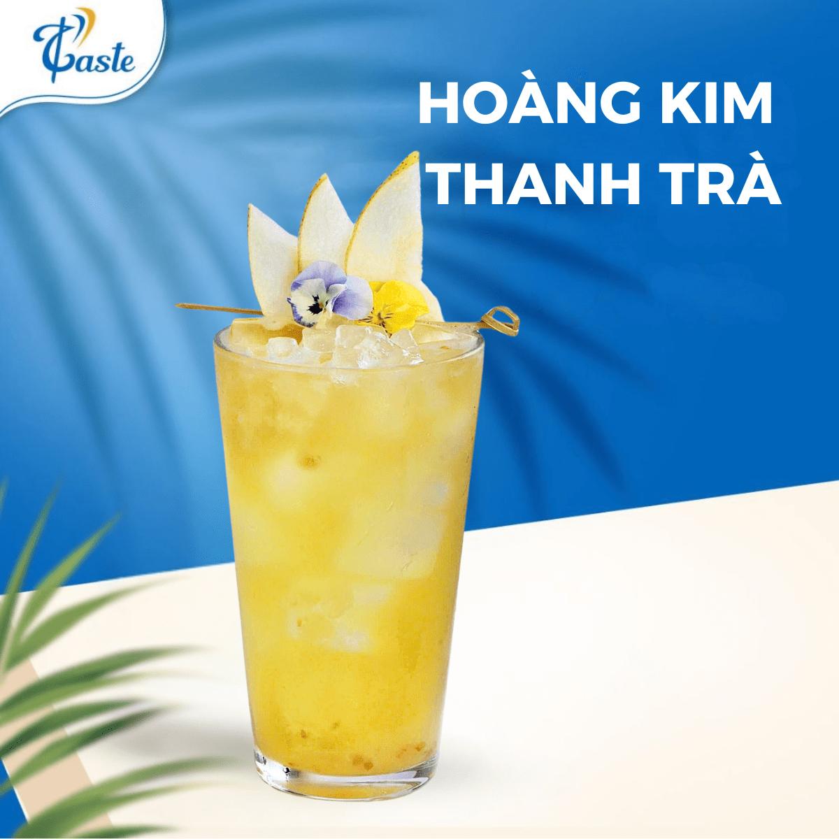 HOÀNG KIM THANH TRÀ