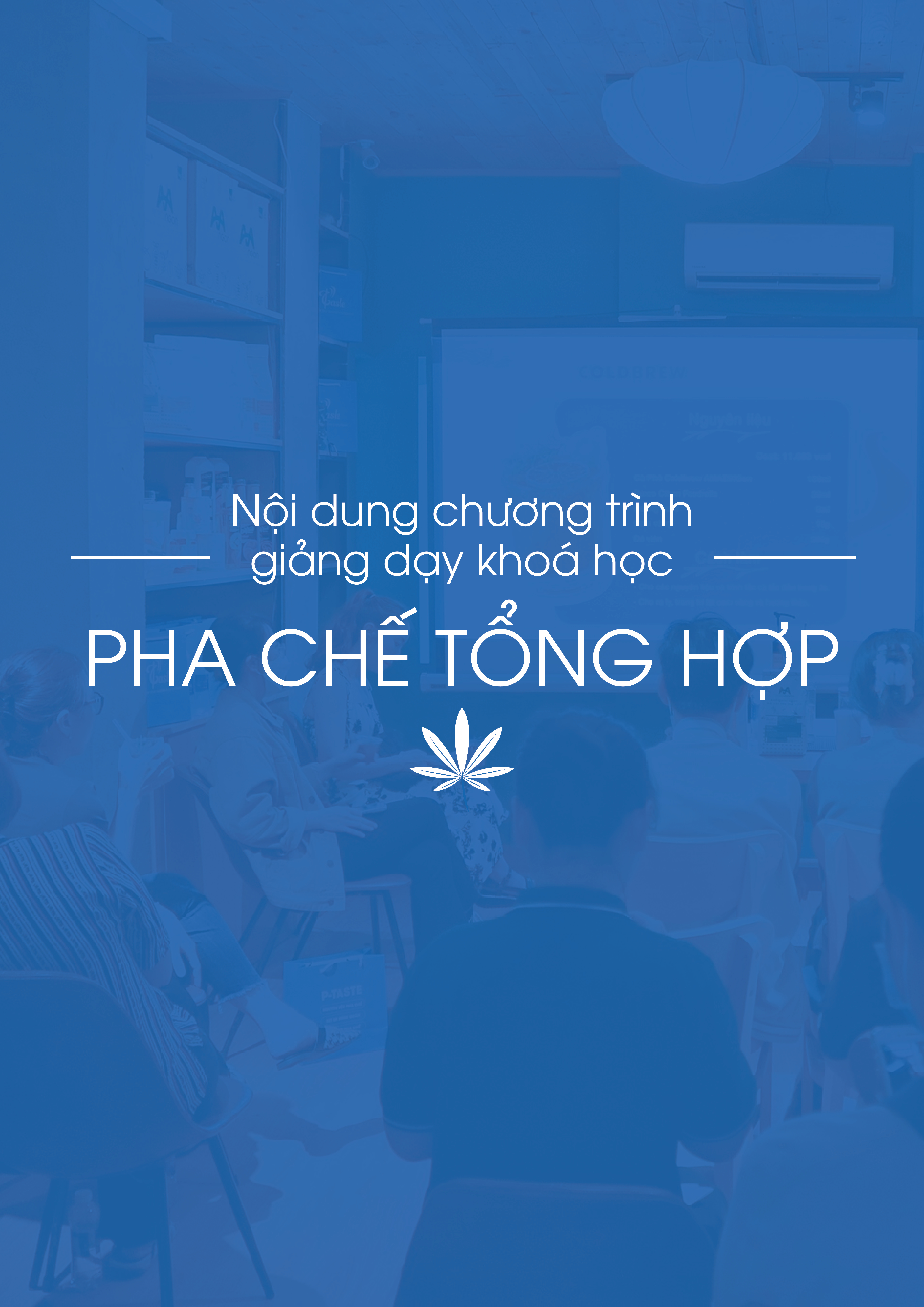 CHƯƠNG TRÌNH HỌC KHOÁ HỌC PHA CHẾ TỔNG HỢP